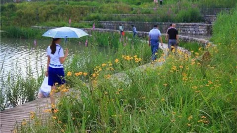 从三类水到一类水：水体生态修复设计方案中的3个关键决策