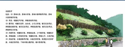 生态护坡设计方案：3个关键决策避开“一年绿，两年荒”陷阱