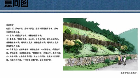 生态护坡设计方案：3个关键决策避开“一年绿，两年荒”陷阱